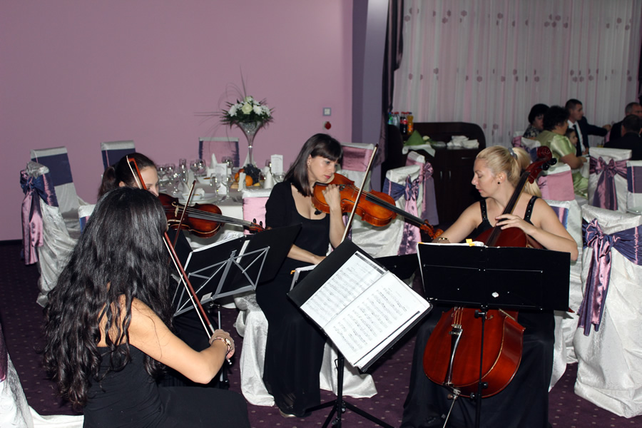 Salon Select